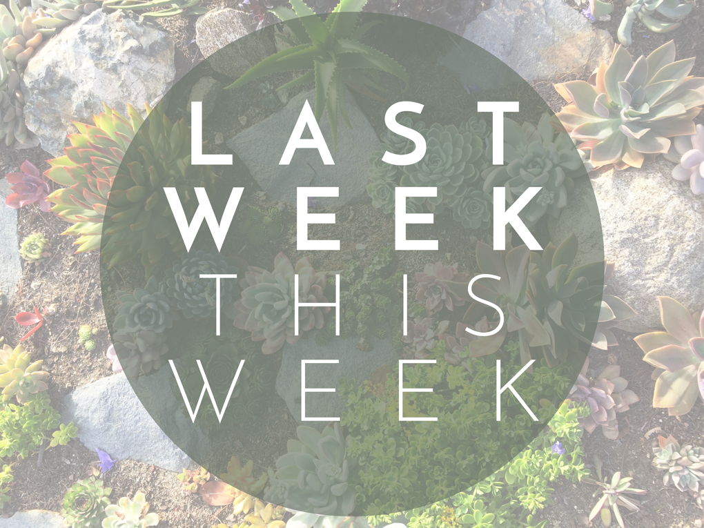 Last Week This Week – Twenty-Six & Then Some