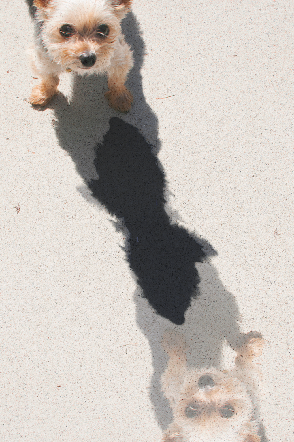 WK9_Shadows2
